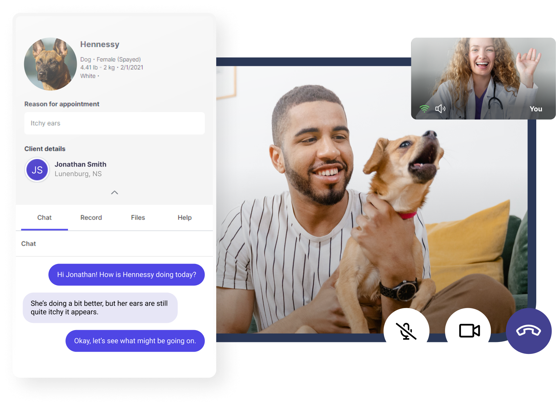 Vetster mobile app screens